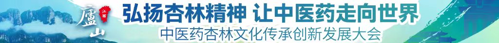 狠狠地插入嫩穴视频中医药杏林文化传承创新发展大会